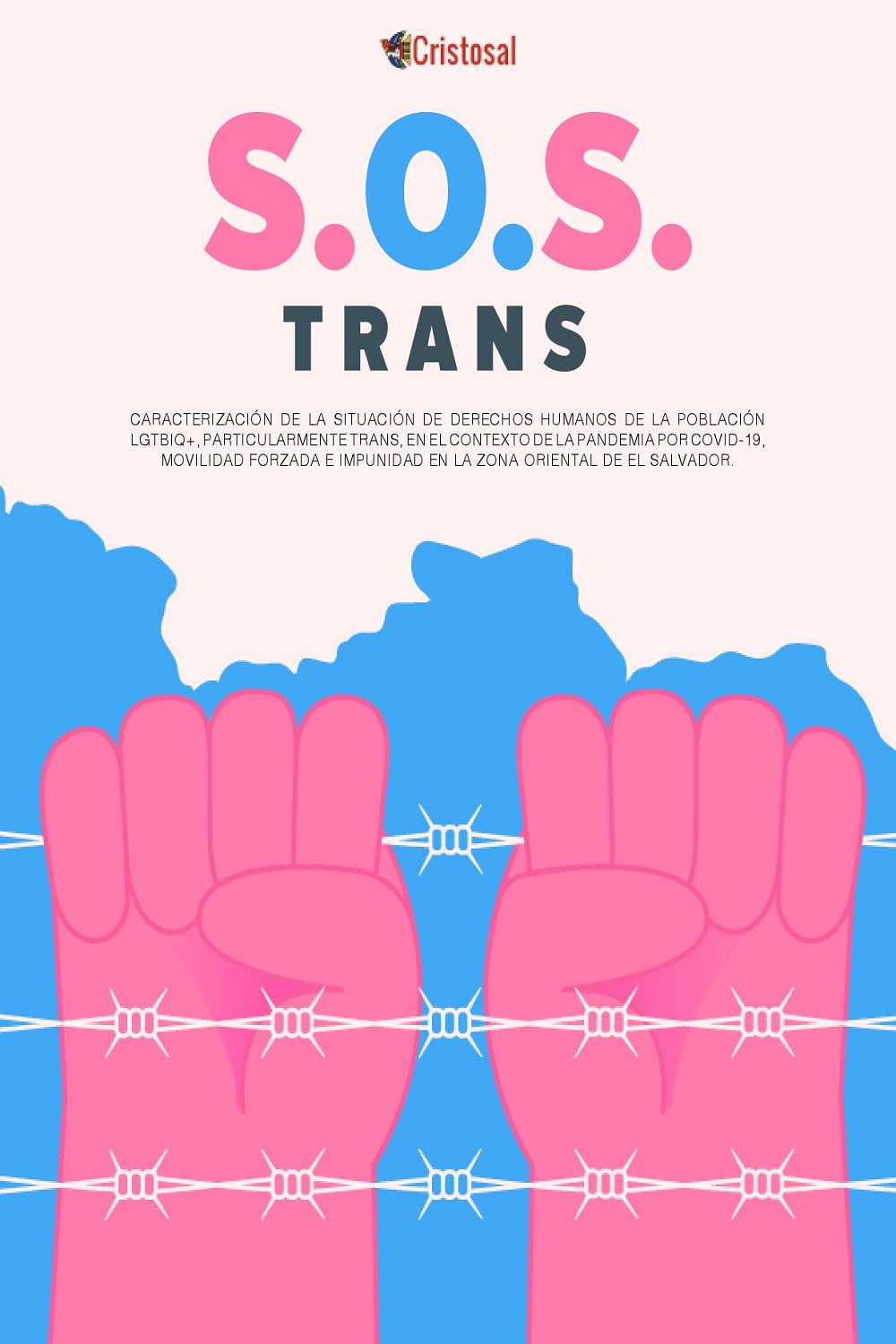 S.O.S. TRANS – Caracterización de la situación de derechos humanos de la población LGBTIQ+