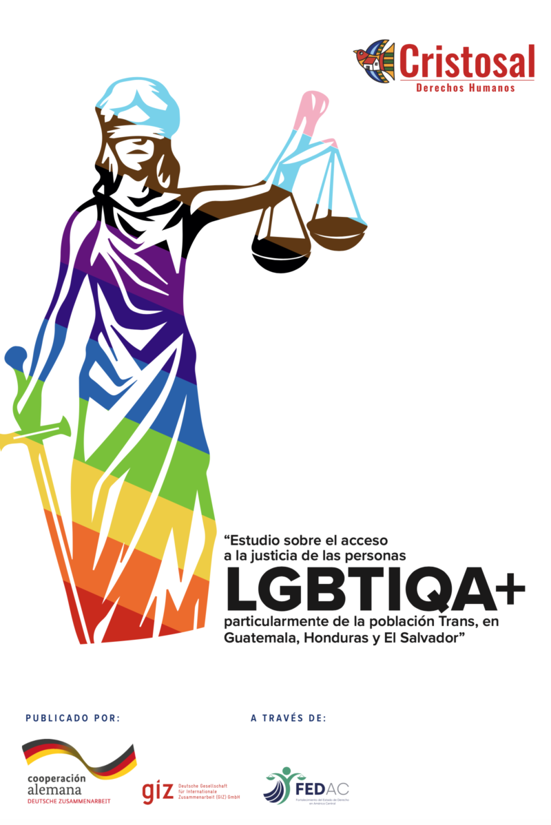 Estudio sobre el acceso a la justicia de la personas LGTBIQ+