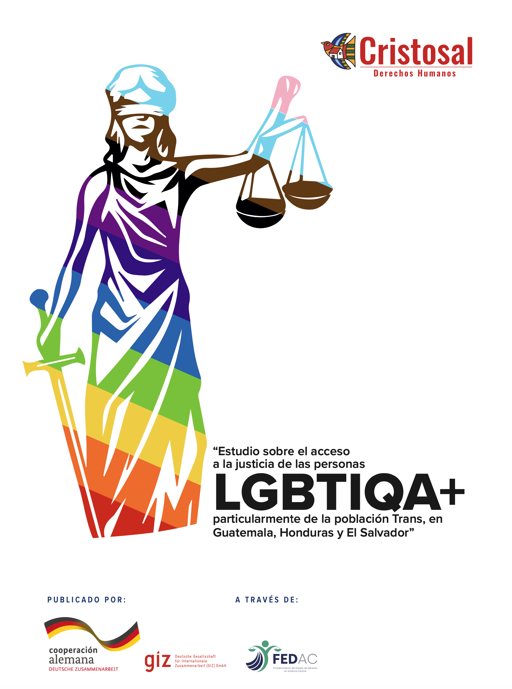 Estudio sobre el acceso a la justicia de la personas LGTBIQ+
